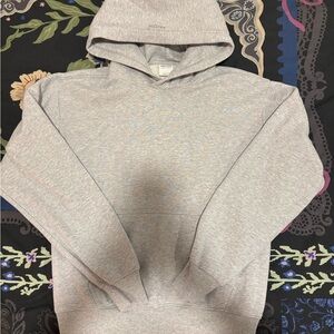 Aritzia perfect hoodie